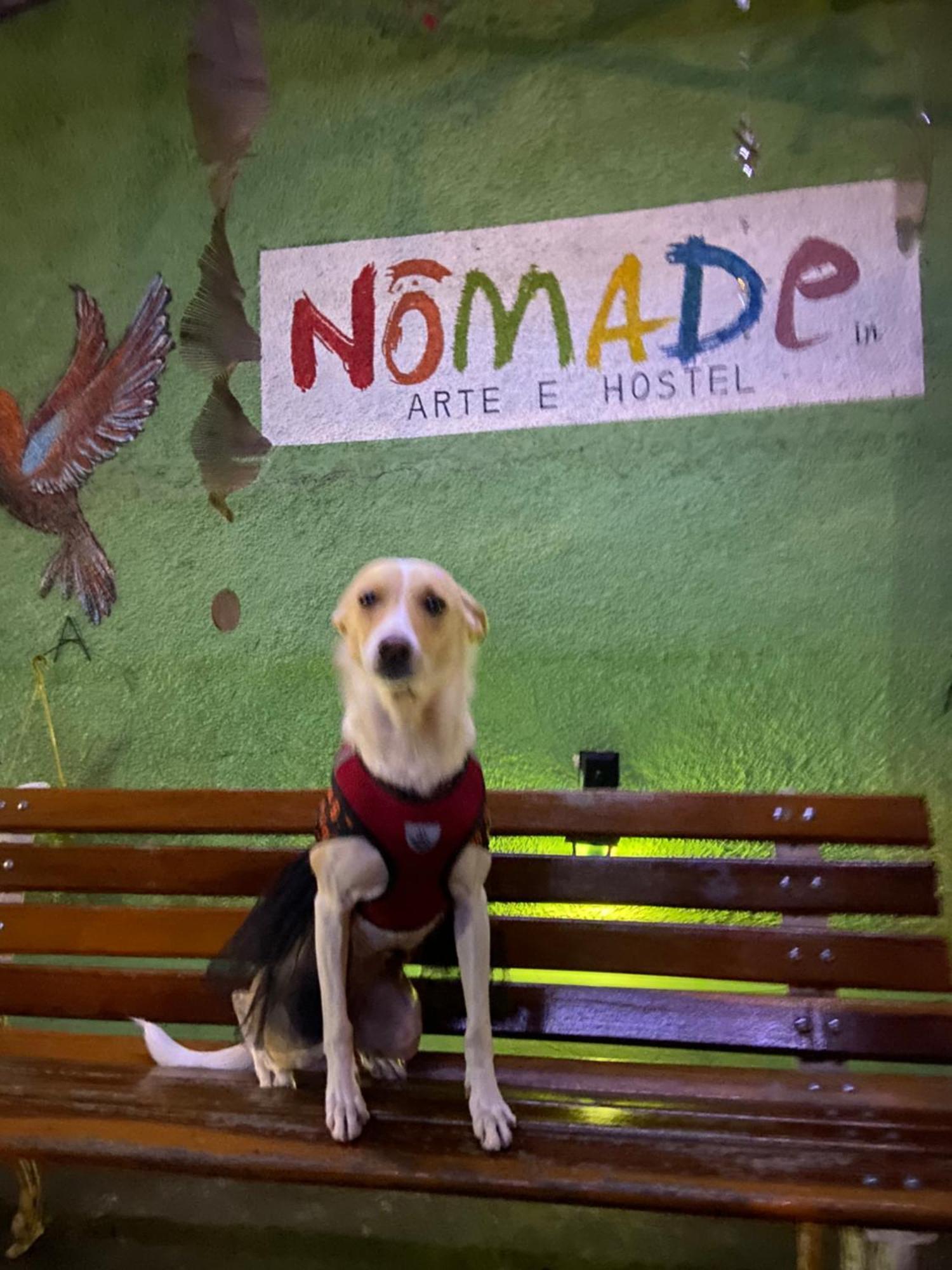Albergue Nomade In Arte E São Paulo